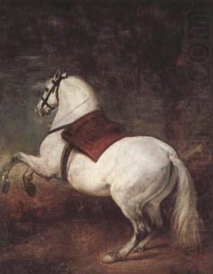 Diego Velazquez A White Horse (df01) china oil painting image